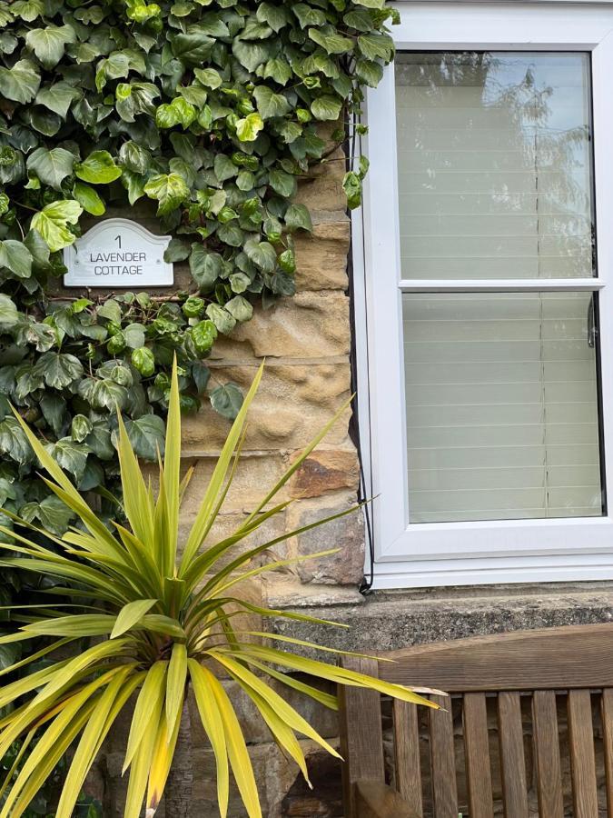 Lavender Cottage , Grewelthorpe , Nr Masham Ρίπον Εξωτερικό φωτογραφία